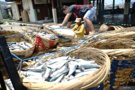 Tangkapan ikan nelayan terdampak cuaca ekstrem