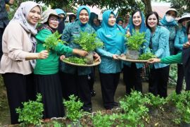 Pemkab Kukar usung inovasi  pemanfaatan pekarangan di Aku Hatinya PKK