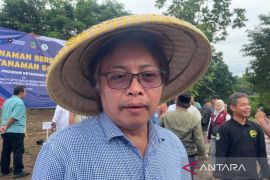 Distanhorti Jabar membantu petani agar mangga gedong gincu tembus ekspor