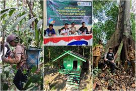 PLN berpartisipasi lestarikan Hutan Adat Rungan di Kalimantan Tengah