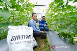 PT CK-Balai Besar Penelitian Pertanian Binuang usung inovasi biotron