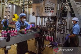 Produksi susu dan olahan di KBPS Pangalengan