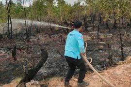 Dinsos Kalsel tetap siaga karhutla usai cabut status siaga darurat