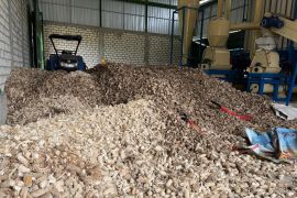 PLN sulap limbah jagung jadi listrik, petani Tuban dapat tambahan penghasilan