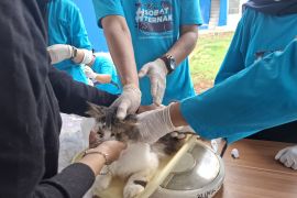 Disnakkeswan Lampung: Keberadaan Rumah Sakit Hewan dapat dukung layanan modern