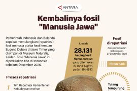 Kembalinya fosil "Manusia Jawa"