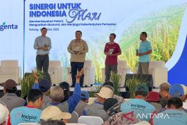 Kolaborasi lintas sektor wujudkan swasembada pangan