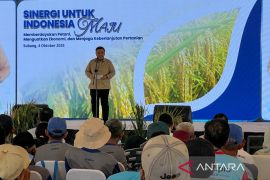 Bappenas sebut swasembada beras jadi prioritas utama pembangunan nasional