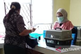 Babel intensifkan klinik hewan cegah penyakit zoonosis