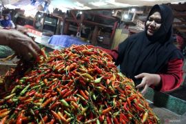 Harga cabai rawit turun jadi Rp44.267/kg, bawang merah Rp37.403/kg