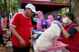 Maros gelar vaksinasi gratis untuk tekan rabies