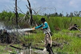 DLH Palangka Raya intensifkan penyiraman lahan rawan karhutla