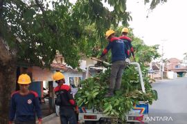 PLN ULP Baturaja jaga  keandalan tenaga listrik saat musim hujan