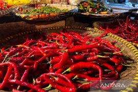 Bapanas: Harga cabai rawit Rp45.558/kg, bawang merah Rp38.036/kg