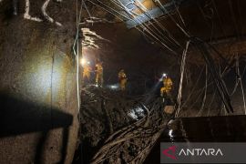 Produksi emas Freeport anjlok 86 persen usai longsor di Grasberg