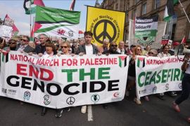 Lautan Massa di Karachi, Warga Suarakan Dukungan untuk Palestina