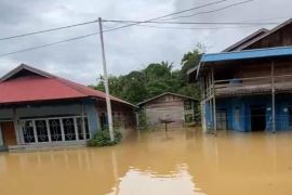 Ratusan rumah warga di Kapuas terendam banjir setinggi 1 meter