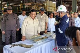 President Prabowo reaffirms commitment to combat illegal mining