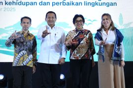 RI completes REDD+ RBP 2014-2016, cutting 20.25M tons CO2e emissions