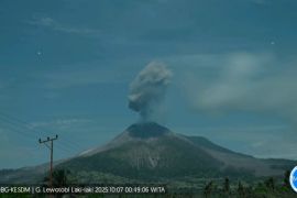 Gunung Lewotobi lontarkan abu setinggi 2000 meter pada Selasa dini hari