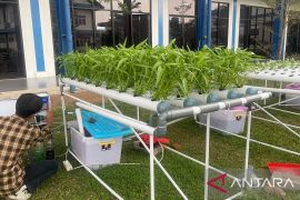 BBPVP Serang cetak ahli "smart farming" dengan spesialisasi sistem otomasi hidroponik