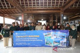 BI Babel tingkatkan kapasitas pelaku UMKM