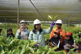 PT Vale ajak siswa SD kenali praktik pertambangan berkelanjutan di Sorowako