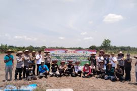 Polsek Tapin Utara tanam jagung guna dukung ketahanan pangan