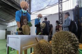 Kadin Parimo: Regulasi bersama perkuat investasi dan ekonomi daerah