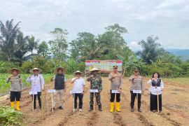 Bulog Palopo dan Polres Lutim tanam jagung serentak dukung swasembada pangan