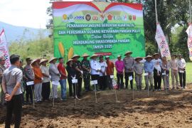 Kolaborasi lintas sektor wujudkan swasembada pangan