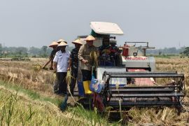 DPR dukung produktivitas petani, panen padi tiga kali setahun