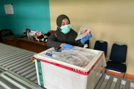 Nilai ekspor ikan beku Maluku tembus Rp90 miliar hingga September 2025