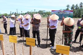 Polres Agam tanam raya jagung serentak dukung swasembada pangan