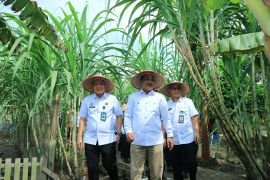 Ditjenpas Jambi dan Pemda Tanjabbar kembangkan ketahanan pangan Lapas