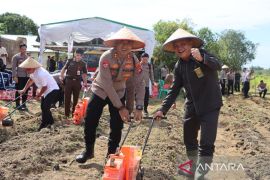 Polres Bangka Barat bantu pulihkan 1,8 hektare lahan bekas tambang