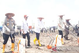 Kapolri jadikan Polda Kalsel contoh keberhasilan budidaya jagung di lahan basah