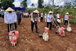 Dispertan Garut terus tanam jagung hingga capai 69.849 ha pada akhir 2025