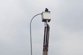 Pemkot Tangerang tambah 414 titik PJU di area publik