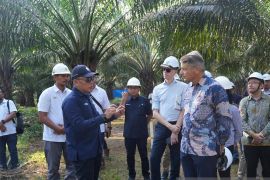 Dubes Uni Eropa Puji Langkah PTPN IV PalmCo Dorong Sawit Berkelanjutan di Indonesia