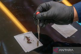 BNN Jateng musnahkan barang bukti narkoba hasil operasi Juli&ndash;Oktober 2025