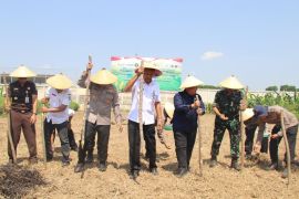 Polres Kudus  salurkan 40 ton jagung kering ke Bulog
