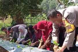 PLN Peduli dorong kemandirian perempuan Desa Linggoasri Kajen