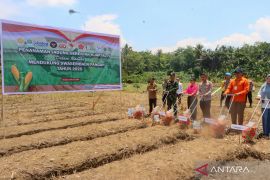 Kapolres HST pimpin penanaman jagung kuartal IV dukung ketahanan pangan nasional