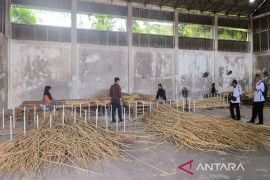 Legislator Katingan dukung pengembangan rotan berorientasi ekspor