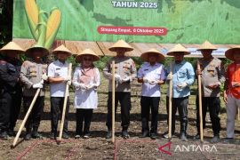 Polres Pasaman Barat targetkan menanam jagung seluas 10 hektare pada kuartal IV