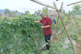 Lapas Talu panen program ketahanan pangan upaya pembinaan kemandirian warga binaan