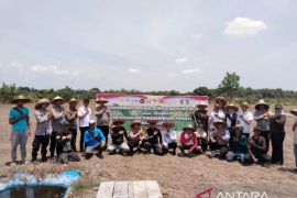 Polhukam  kemarin dari   kasus korupsi  jembatan hingga Pilkada 2029