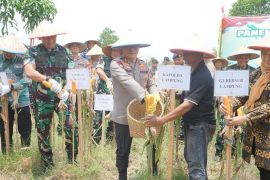 Polda Lampung terus berkontribusi dukung program ketahanan pangan