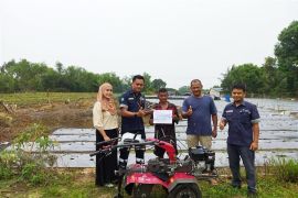 Pasca-dihujani lemparan batu, PT Timah tetap tebar manfaat bagi petani